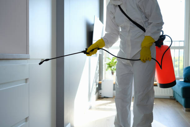 Best Residential Mold Removal  in Purcellville, VA